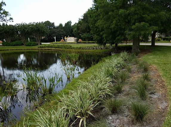 The Purpose and Benefits of Stormwater Systems in Your HOA Community