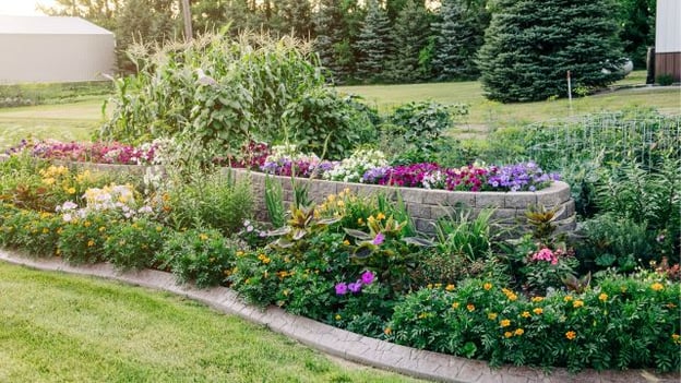 flower bed in homeowners association