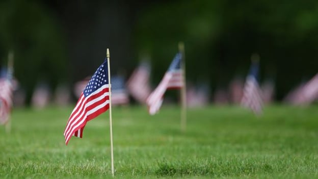 American flags in the ground