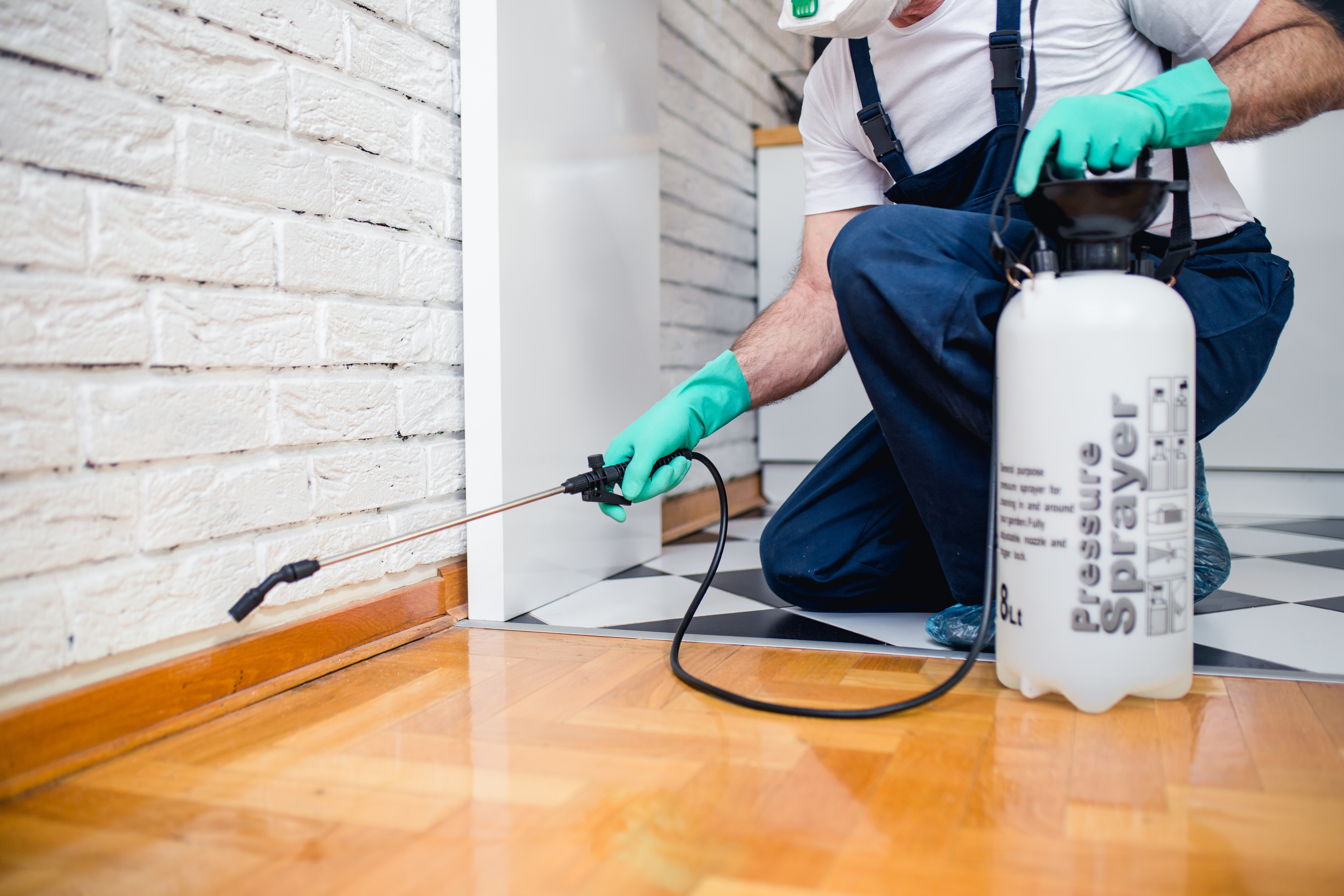 Everything Your Association Should Know About Pest Control for ...