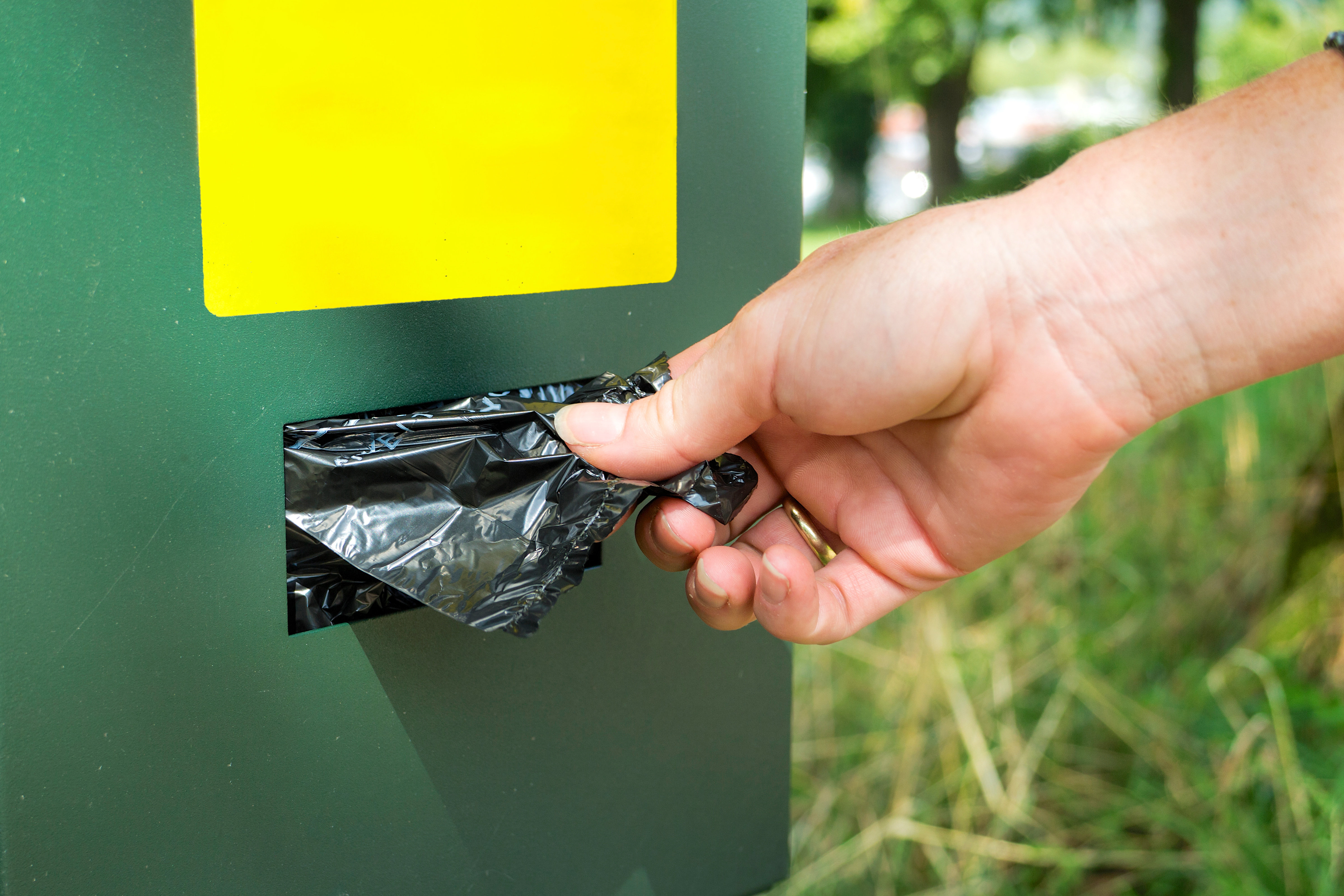 Dealing with Pet Waste in Your Community