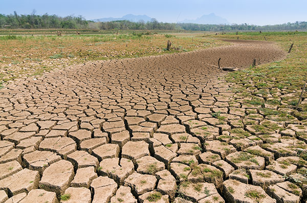 The Risks of California Drought on Communities and the Role of HOA's