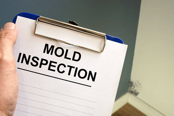How to Prevent a Mold Invasion in Your House