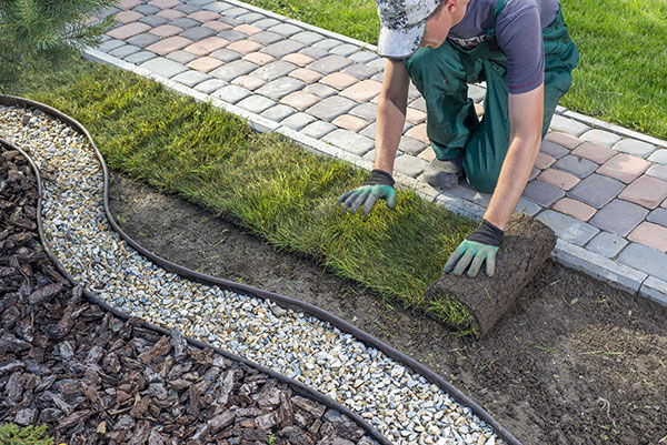 Top 10 Summer Landscaping Tips for Your Community Association