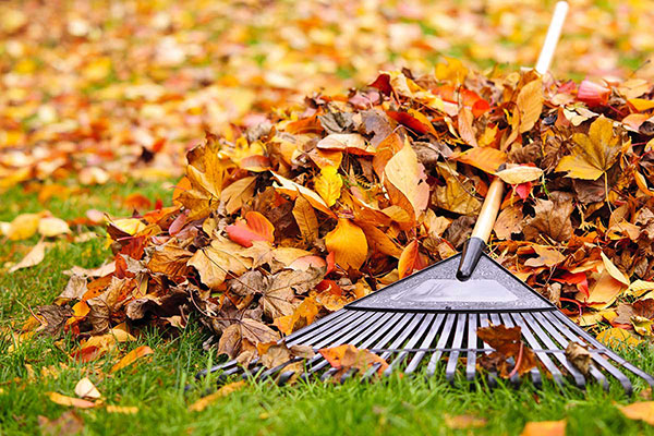 Fall Landscaping HOA Needs - Lawn Care Tips