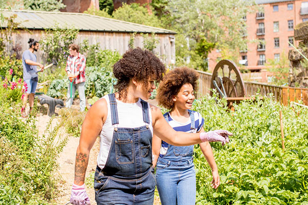 8 Tips For Setting Up A Community Garden