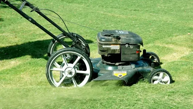lawn mower cutting HOA grass blog image